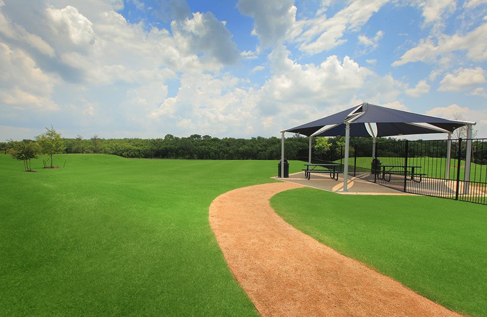 Give your furry friend more than just a dog park at Wildcat Ranch