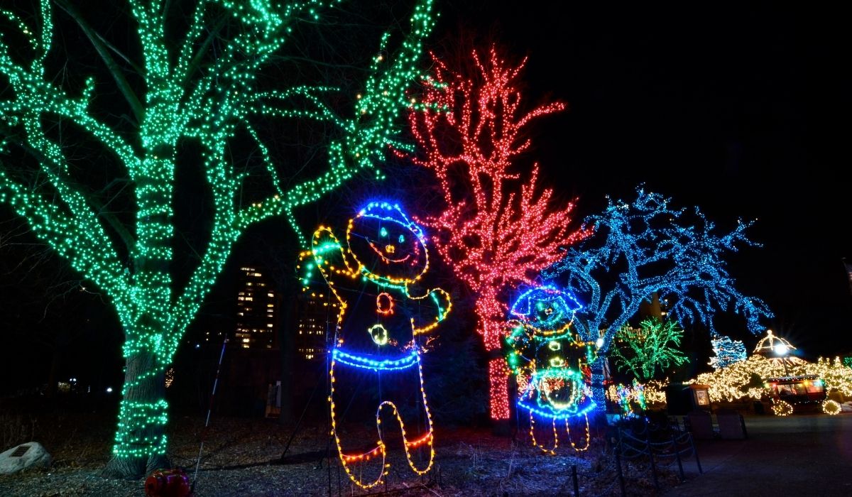 A Very Special Christmas Light Show Holiday Tradition
