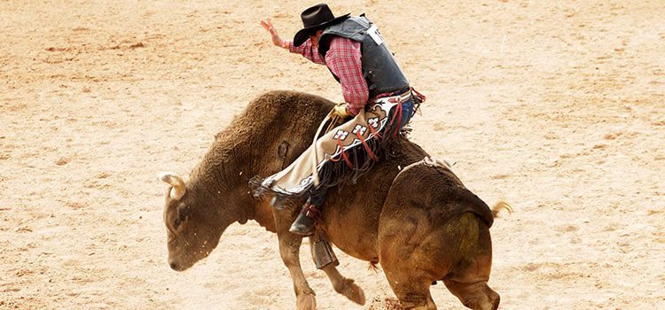 Mesquite Championship Rodeo Dallas Events