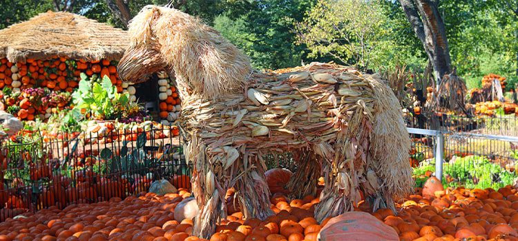 Autumn at the Arboretum - Horse made of corn husks