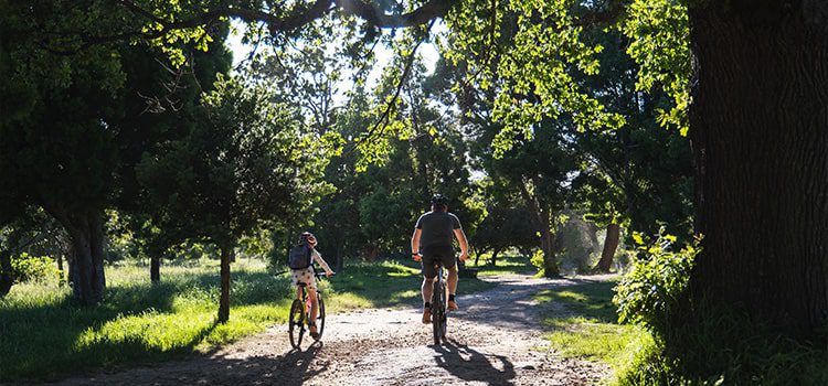 Wildcat Ranch Biking Trail