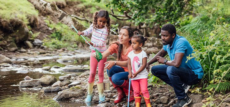 rivers and Outdoor Adventures in the area