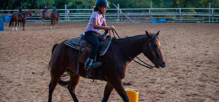 Horseback riding