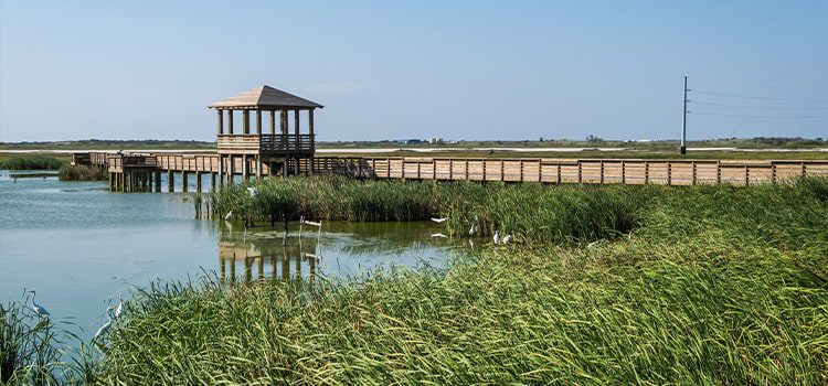 John Bunker Sands Wetland Center 