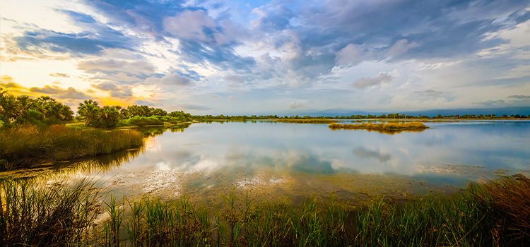 Kaufman County waterways