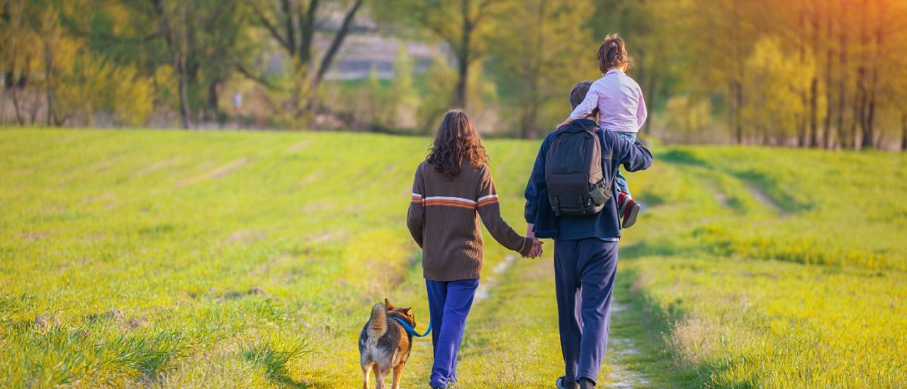 Family walking on a grassy trail with a dog in a peaceful outdoor setting near Dallas.