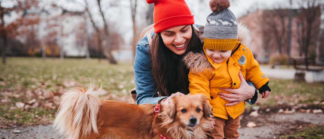Woman and child petting small brown dog in park during autumn.