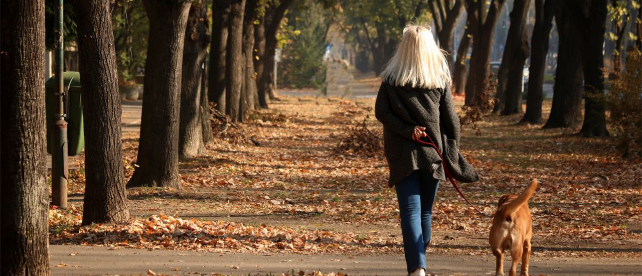 Woman walking dog on leash along tree-lined autumn trail.